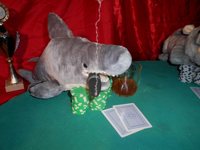 Haifisch beim Pokerspiel