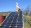 solar
