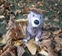 herbstlich