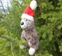 bobbo natale