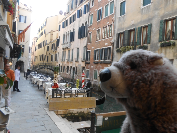 Zeig in Venedig