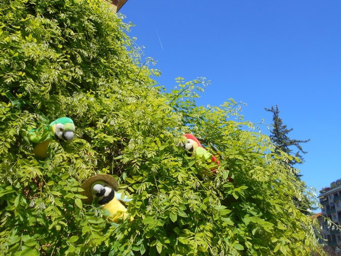 Papageien auf einem Baum