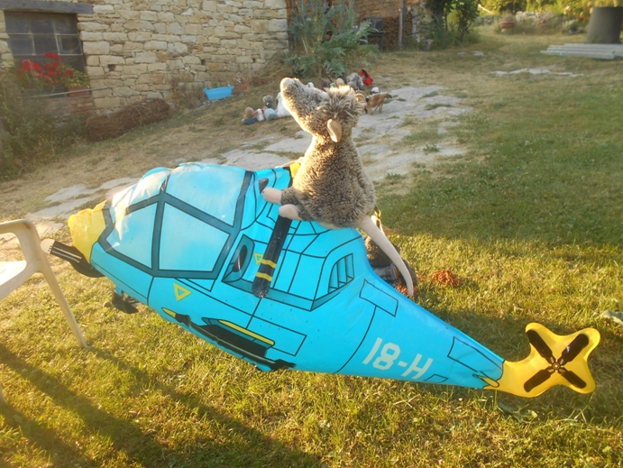 Rettungshelikopter aus Gugellandia