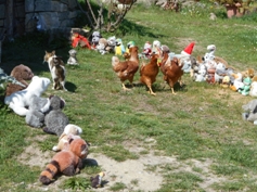 hühner in gugellandia